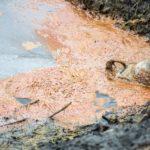 食肉加工業者が廃油を不正処理、下水道法違反の疑いで家宅捜索