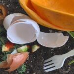 【食品リサイクル法】登録再生利用事業者制度とは?メリット・登録要件を解説