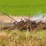 「野焼き」とは?法律で禁止された内容や例外を解説!