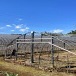 農業廃棄物とは?農業ごみの分類・処分方法・保管基準を解説!