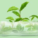 バイオマスプラスチックとは?従来のプラスチックとの違いやメリット