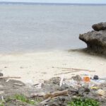 約900キロもの広告紙を不法投棄、海上保安庁が男性逮捕
