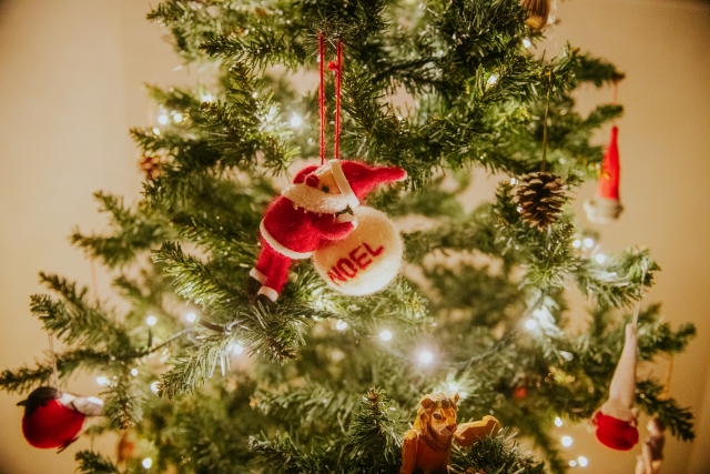 クリスマスツリーの捨て方は？素材・サイズごとの処分方法を解説